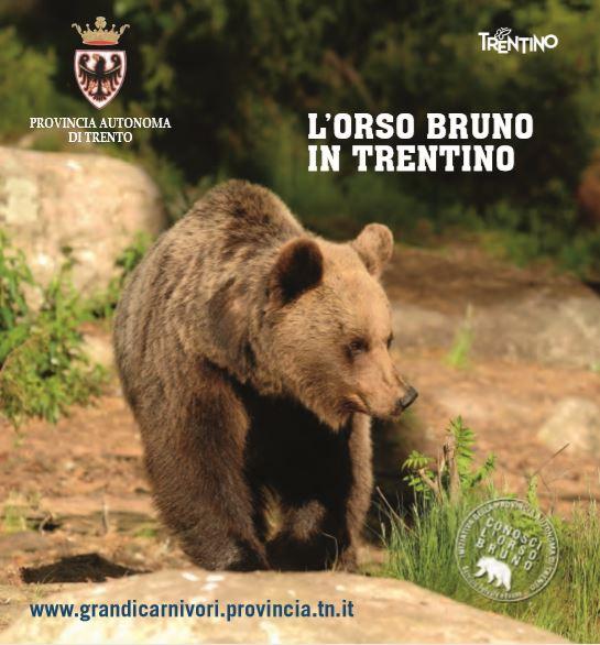 Copertina pubblicazione L'orso bruno in Trentino