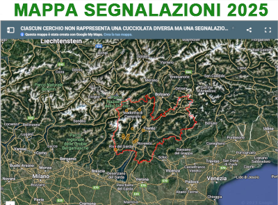 Segnalazioni orse con piccoli 2025