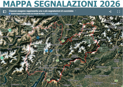 Segnalazioni orse con piccoli 2026