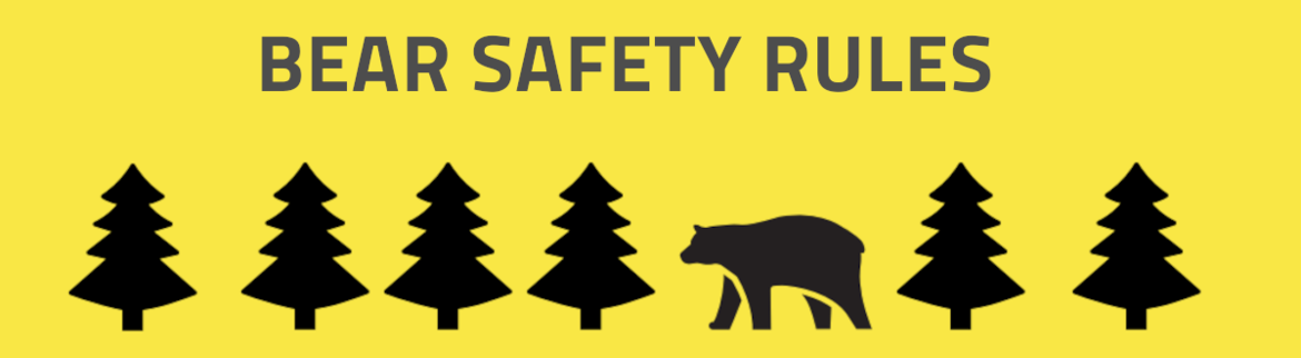 Bear Safety Rules