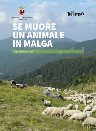 Copertina della pubblicazione "Se muore un animale in malga"