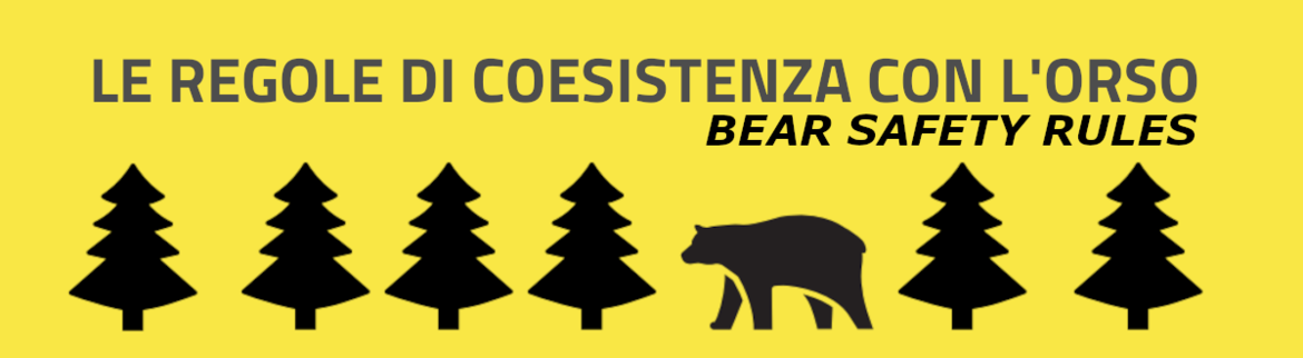 Le buone regole di coesistenza con l'orso / BEAR SAFETY RULES