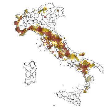 mappa Lupo italia