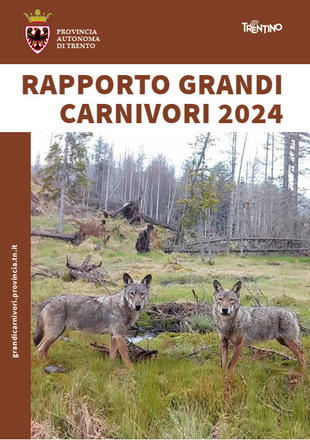 Copertina Rapporto Grandi Carnivori 2024